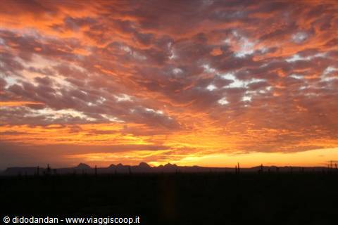 Fiery red sky over the desert with cactus silhouettes at Guerrero Negro
