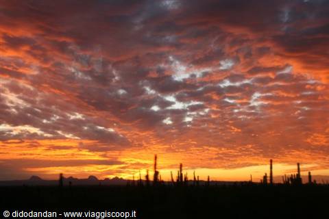 Fiery clouds glowing above silhouetted cacti in the desert