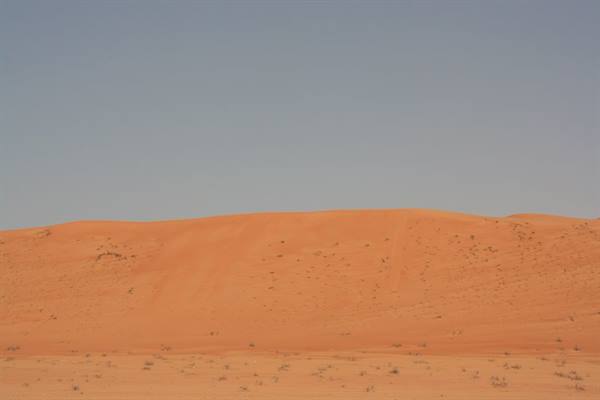 Red sand dune under blue sky, sparse shrubs scattered around