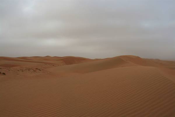 Orange sand dunes under grey cloudy sky, wind on the ridge