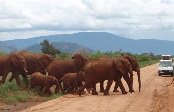 Tsavo East