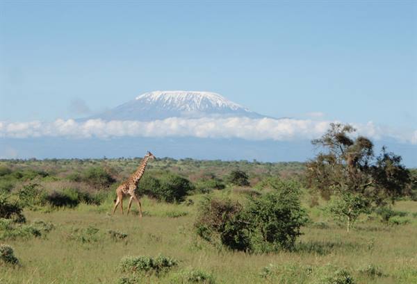 Amboseli