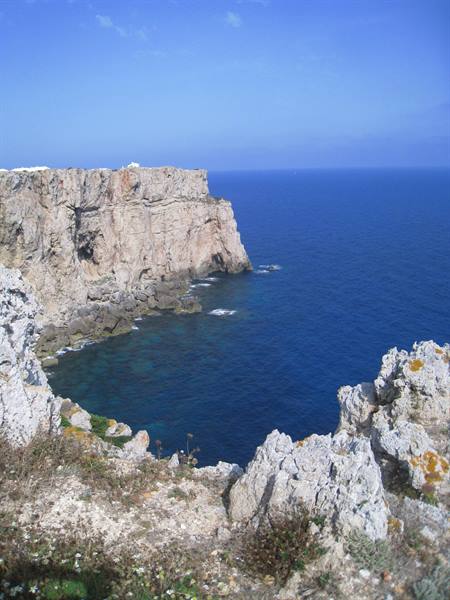 Coast towards the North