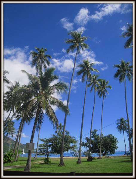 Tall palms on green lawn facing the blue sea under cloudy sky
