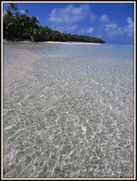 Crystal clear water over coral seabed, palm trees and white sand beach