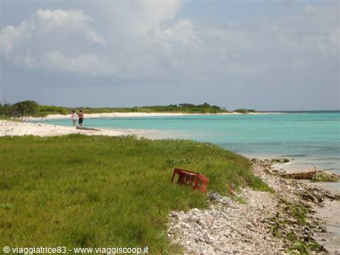 Cayo Pirata