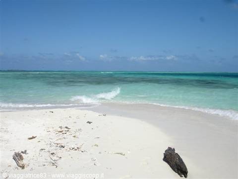 Cayo Muerto .
