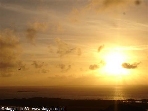 Golden low sun over the ocean, lit clouds, a bird flying