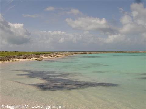 Noronquises