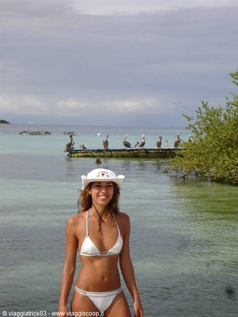 Girl in white bikini and hat in clear water, pelicans on wooden pier