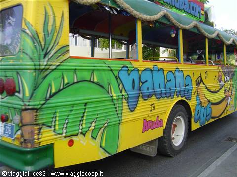 Yellow open-top bus painted with palms and lettering, parked on an Aruba street