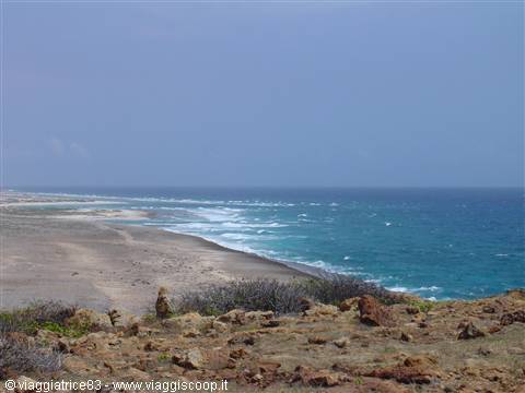 Dark sand beach with white waves and volcanic rocks in the foreground