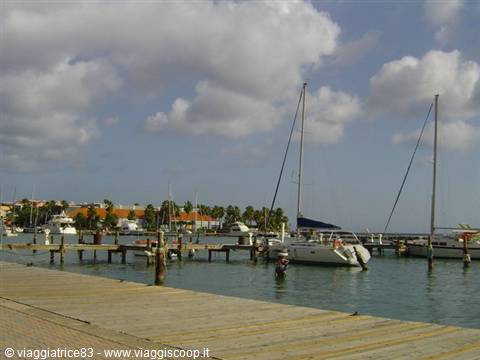 Little harbour