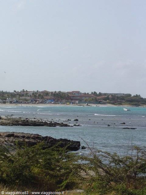 turquoise bay with black rocks, boats and shoreline houses