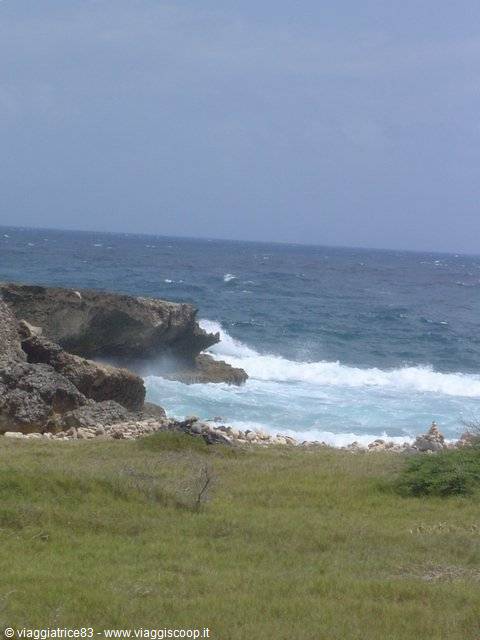 Waves crash on rocky cliffs under grey sky in front of green grassland