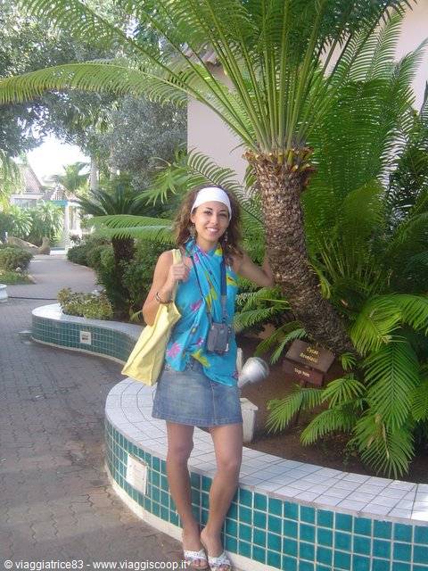 Smiling woman next to a cycad palm in a garden with green tiled planters