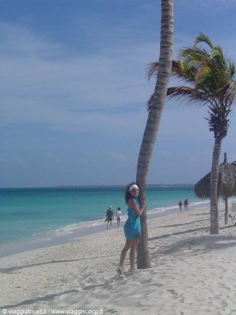 Woman hugging a palm tree on white sand, turquoise sea, thatched umbrellas