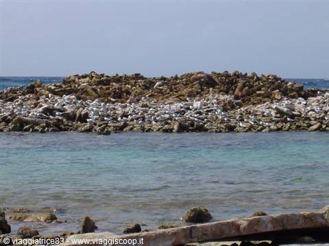 Rocky islet of stones surrounded by clear turquoise water