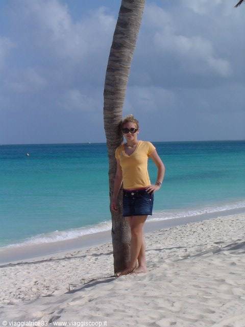 Woman in yellow shirt and sunglasses leaning on palm tree on Caribbean beach