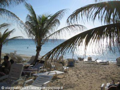 White sun loungers under palm trees on the beach, tourists in Caribbean sunshine