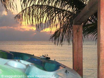 Green plastic kayak under a palm tree, calm sea at dawn