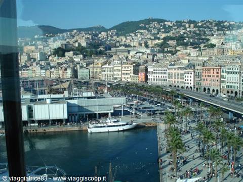 Genoa old port: white ship moored, palm trees and colorful houses on the hill