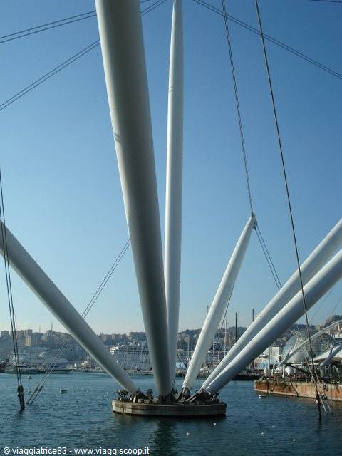 Tall white steel masts rise from Genoa's old harbor