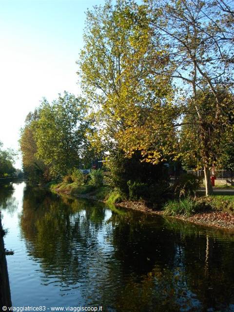 Reflections on the canal