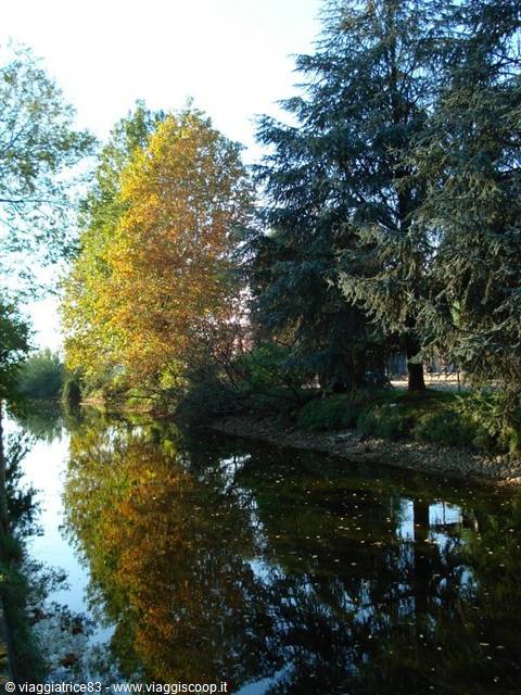 reflections of light