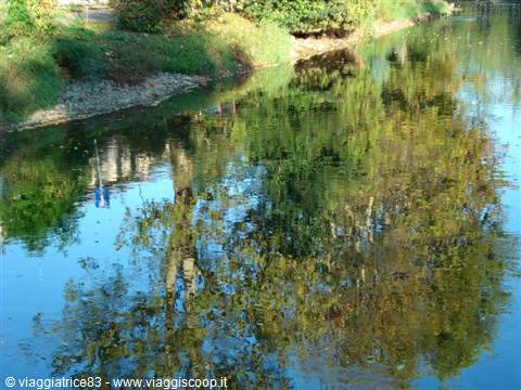 reflections on the water
