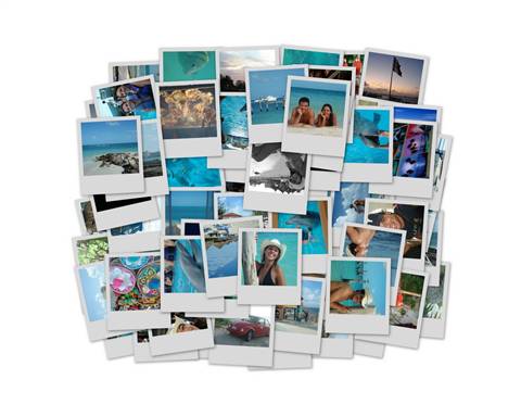 collage.. of photos