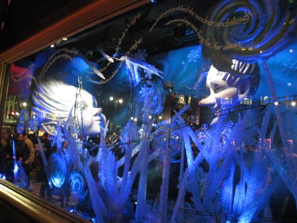 MACIS shop window