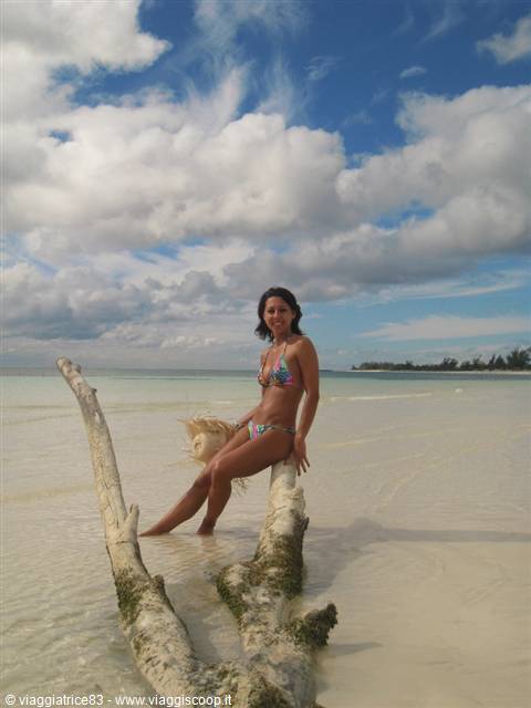 Woman in bikini leaning on driftwood in shallow tropical beach waters