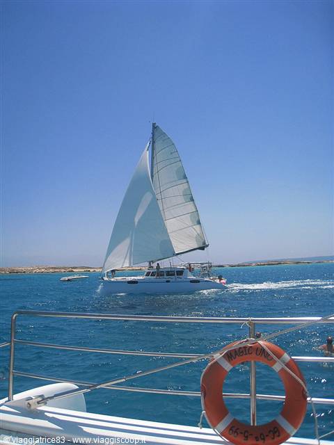 White-sailed catamaran in turquoise water, orange lifebuoy in the foreground