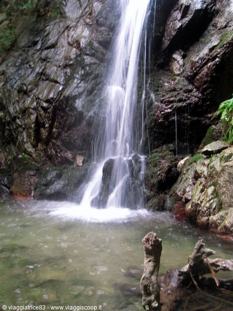 Waterfall plunging over mossy rocks into a clear green pool with submerged logs