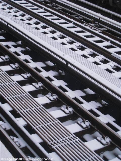 Snowy tracks