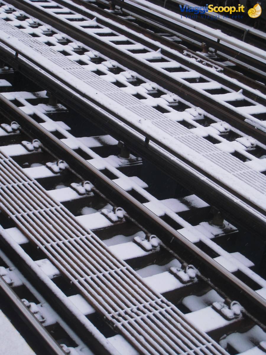 Snowy tracks