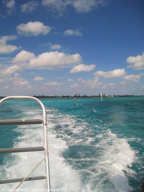 ... we move away from the shore... today DIVING