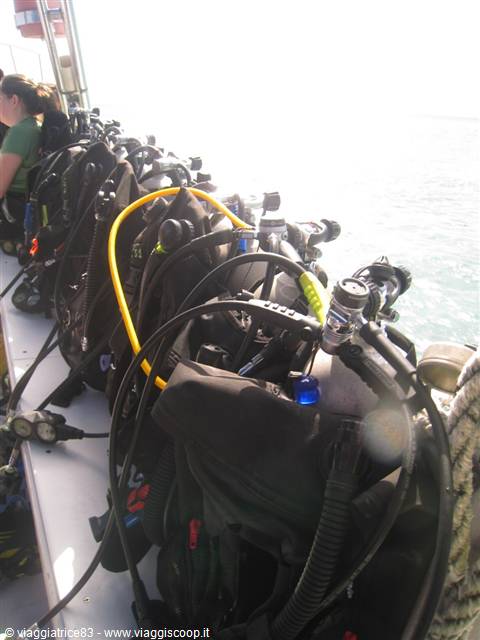 Scuba tanks and regulators lined along the boat rail, bright sea light