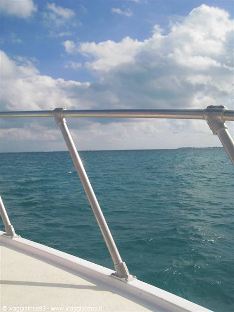 Excursion with Captain Marvin's
