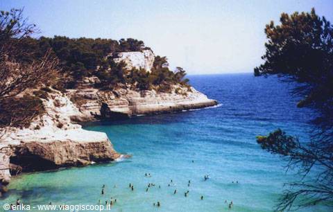 Baia delle Zagare: white limestone cliffs and swimmers in turquoise water