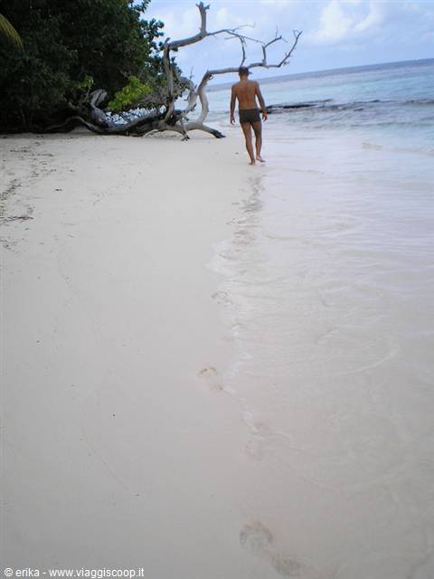 Barefoot man walks on white sand near a fallen tree