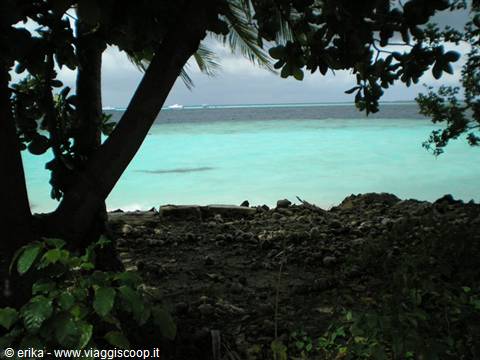 Turquoise lagoon framed by dark branches and volcanic rocks in foreground