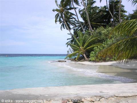 Palms over white sand beach and turquoise water, tropical light