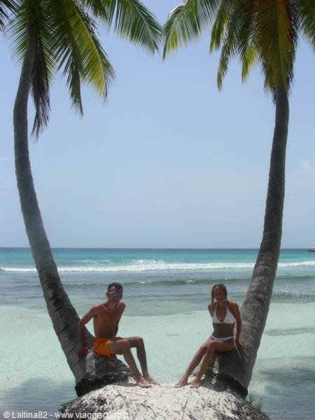 Couple sitting on two leaning palm trunks above turquoise water