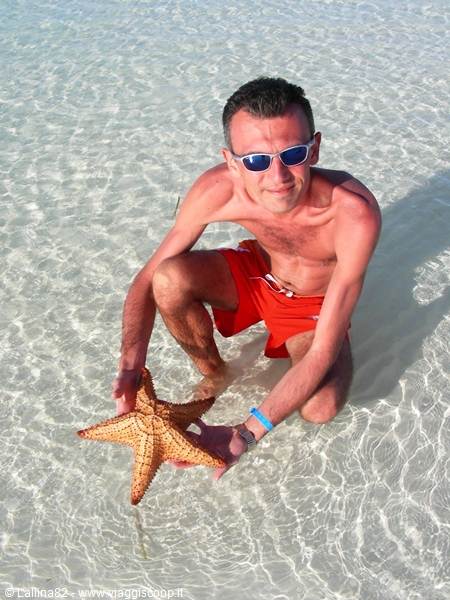 Man in red swimsuit crouching in clear shallow water, holding a starfish