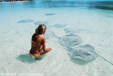 Woman kneeling in turquoise shallow water among stingrays, Bora Bora sandy beach