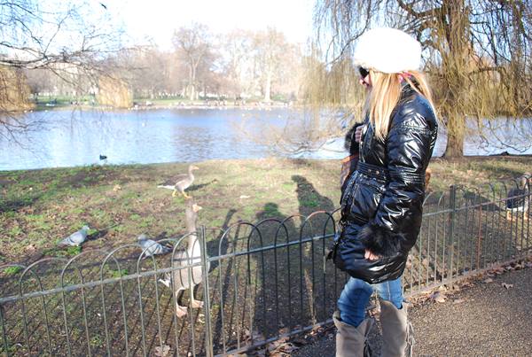Woman in white fur hat and black puffer coat looks at a goose beyond the park fence