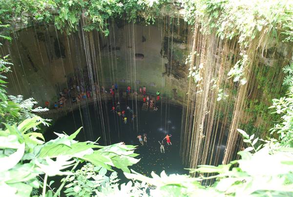 Swimmers bathe in Ik Kil cenote, framed by hanging roots and greenery