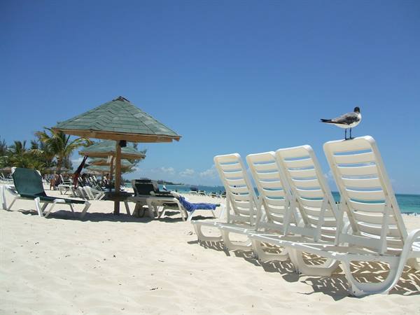 The beach
